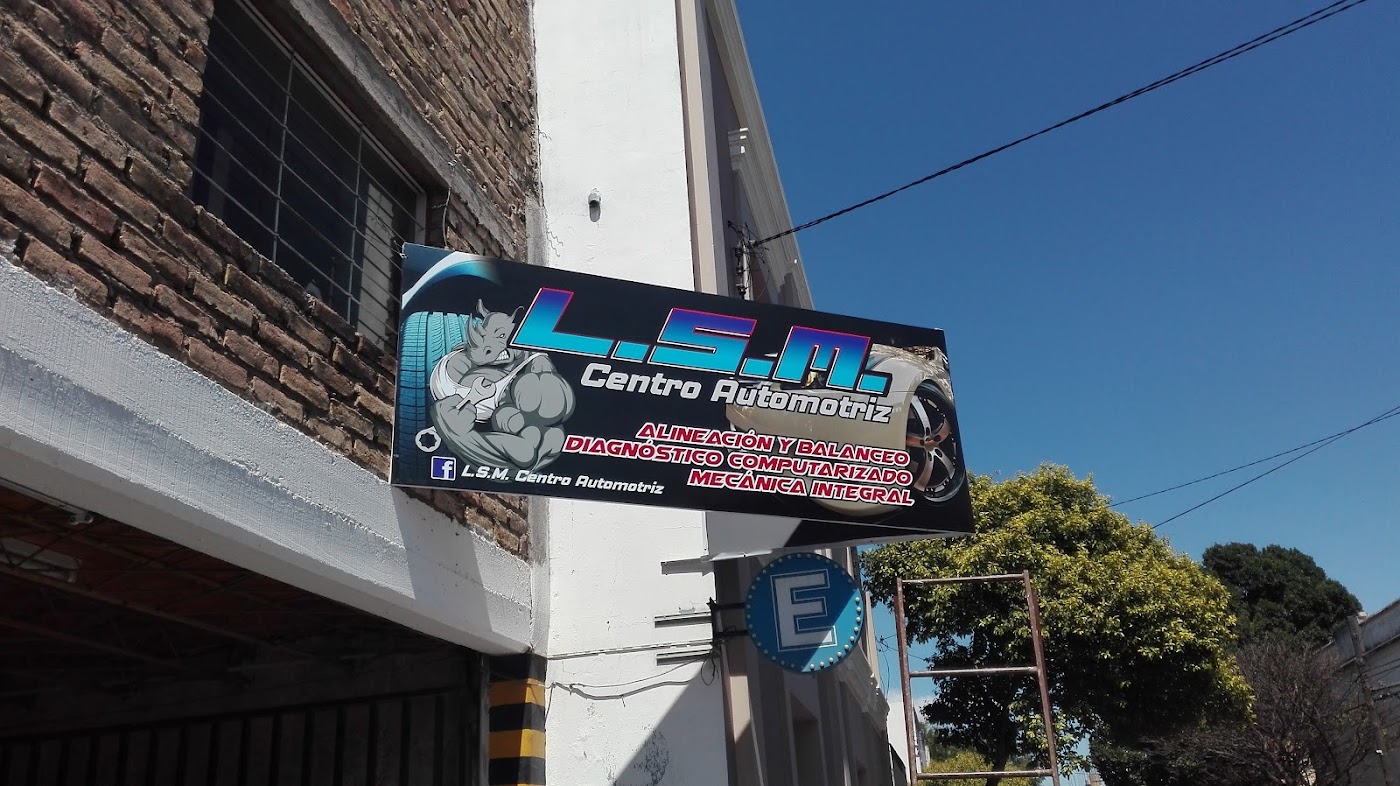L.S.M. Taller Integral