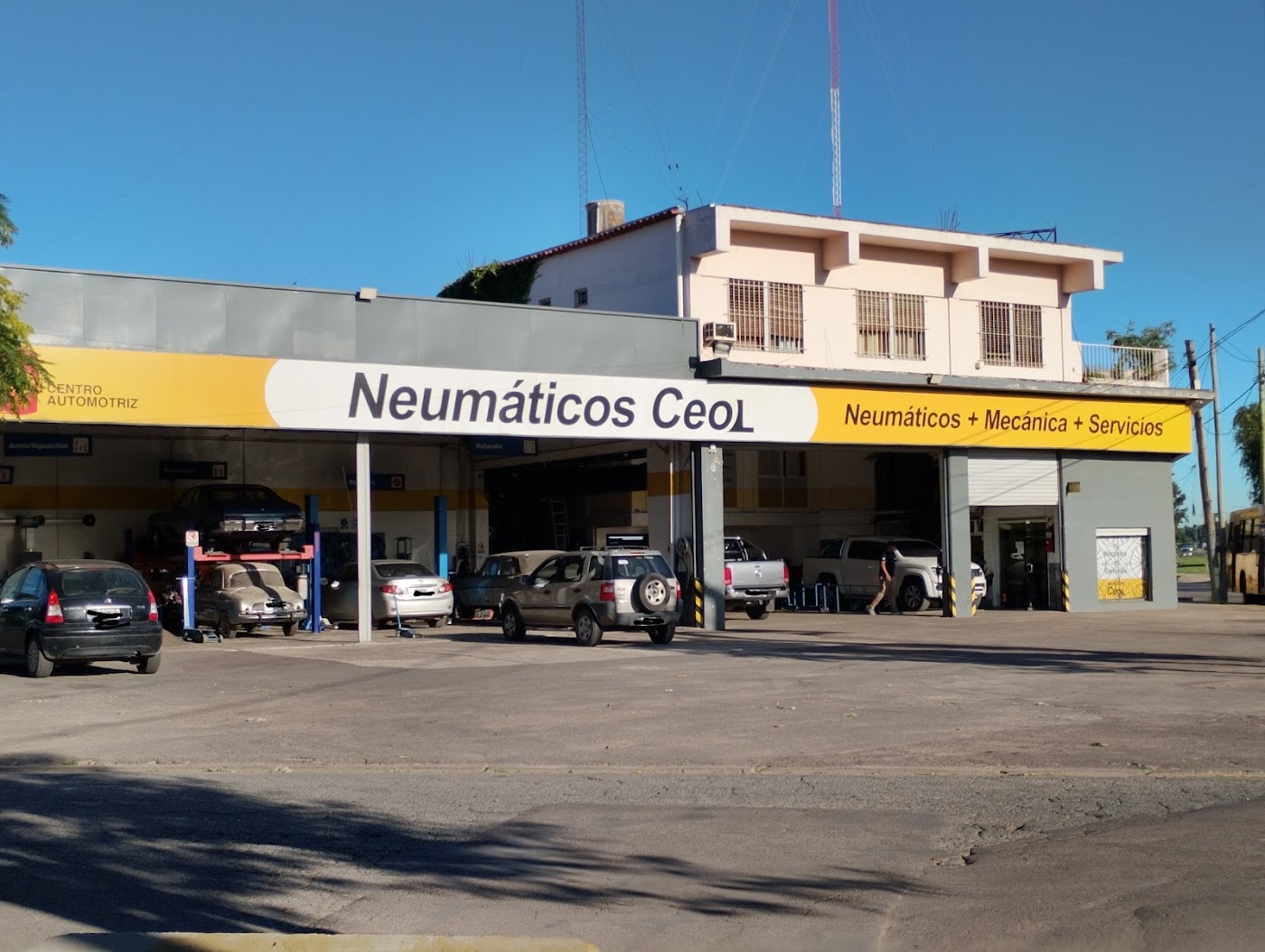 Neumaticos Ceol